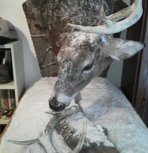 Buck1