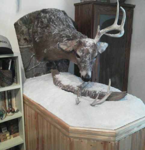 Buck2